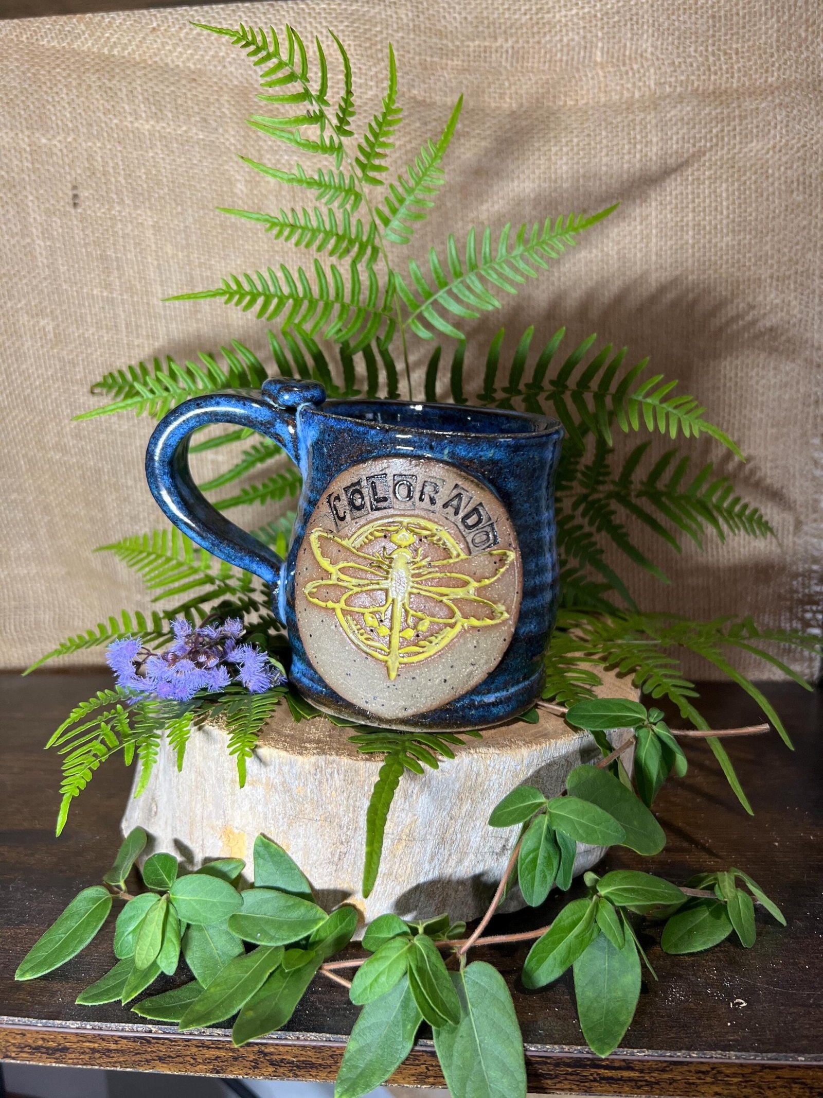 Colorado dragonfly mug *1